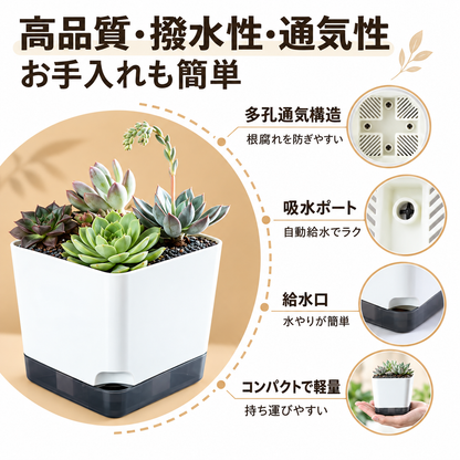 商品No.1 自動給水植木鉢 5個セット｜水やり簡単・透明貯水タンク付き